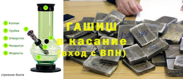 шишки Аркадак