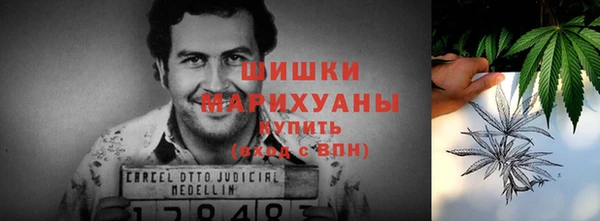 ПСИЛОЦИБИНОВЫЕ ГРИБЫ Армянск