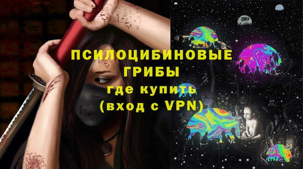 шишки Аркадак
