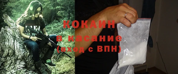 шишки Аркадак
