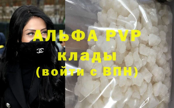 шишки Аркадак