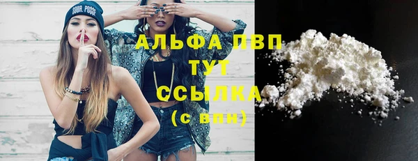 шишки Аркадак