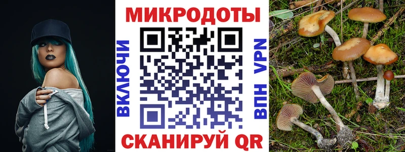 купить  сайты  Межгорье  Псилоцибиновые грибы GOLDEN TEACHER 